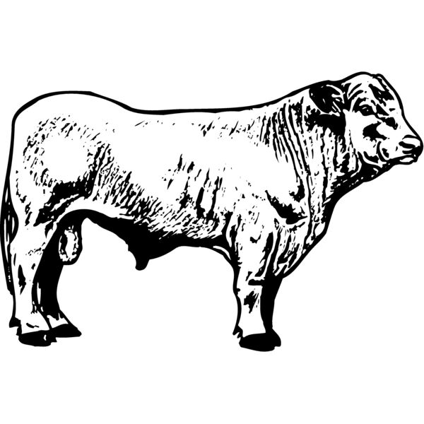COW023 Thumbnail